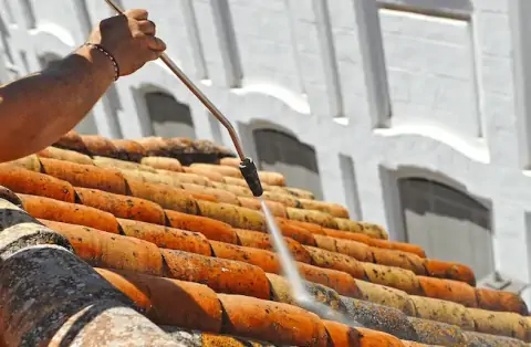 Nettoyage de toitures - Tendu